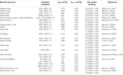 Biomass Valorization to Produce Porous Carbons: Applications in CO2 Capture and Biogas Upgrading to Biomethane—A Mini-Review